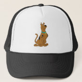 Scooby-Doo Cuter Than Cute Trucker Pet (Voorkant)