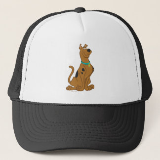Scooby-Doo Cuter Than Cute Trucker Pet