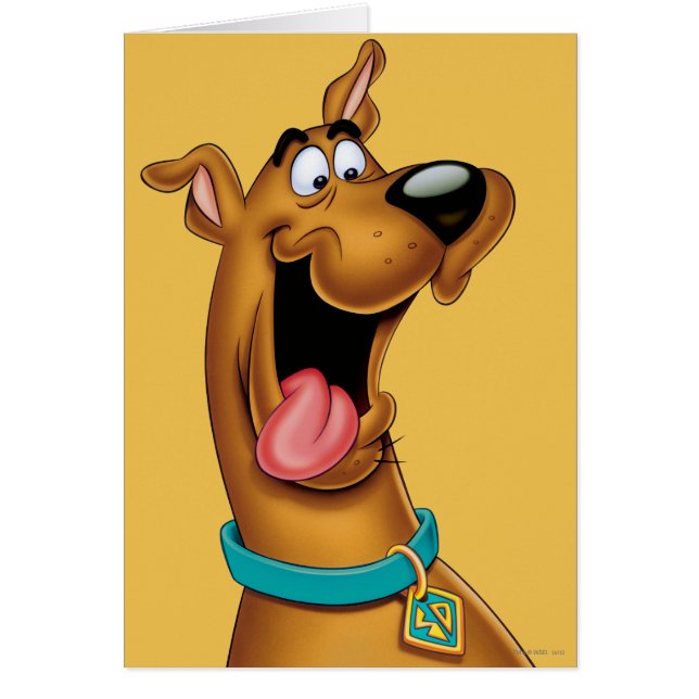 Scooby-Doo Excited Face (Voorkant)