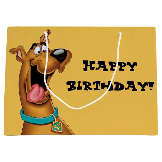 Scooby-Doo Excited Face Groot Cadeauzakje (Voorkant)