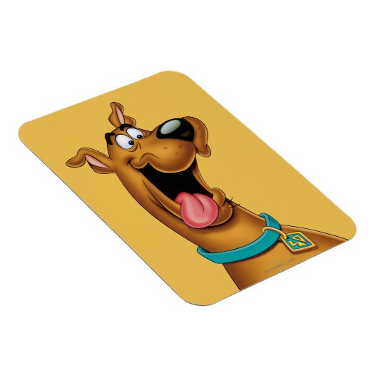 Scooby-Doo Excited Face Magneet (Rechterzijde)