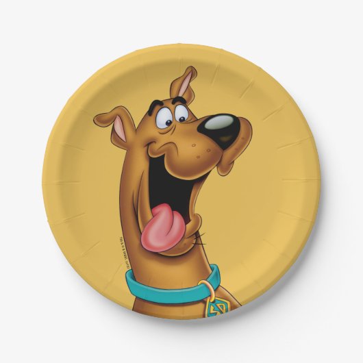 Scooby-Doo Excited Face Papieren Bordje (Voorkant)