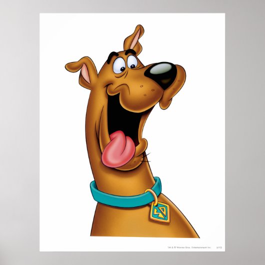 Scooby-Doo Excited Face Poster (Voorkant)