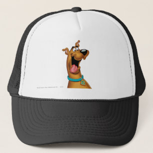 Scooby-Doo Excited Face Trucker Pet