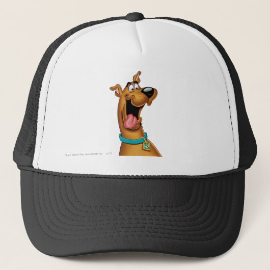 Scooby-Doo Excited Face Trucker Pet (Voorkant)