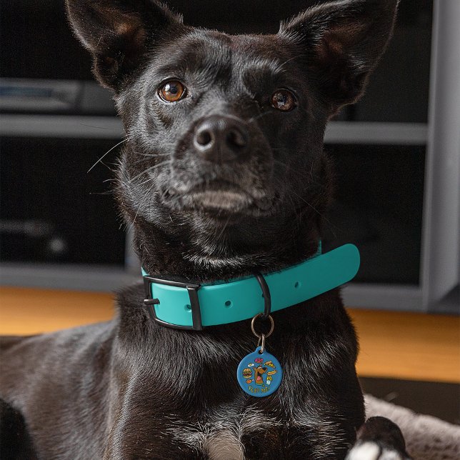 Scooby-Doo Feed Me. Huisdierpenning (Creator heeft geüpload)