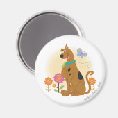 Scooby-Doo Following Butterfly Magneet (Voorkant / Achterkant)