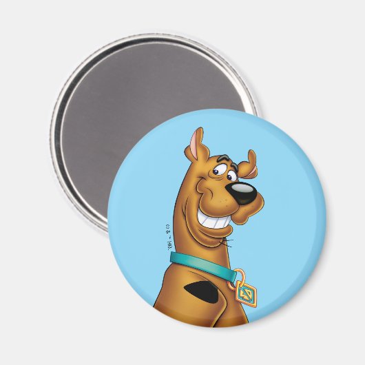 Scooby-Doo Grin Magneet (Voorkant / Achterkant)
