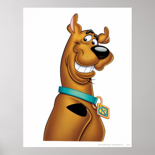 Scooby-Doo Grin Poster (Voorkant)