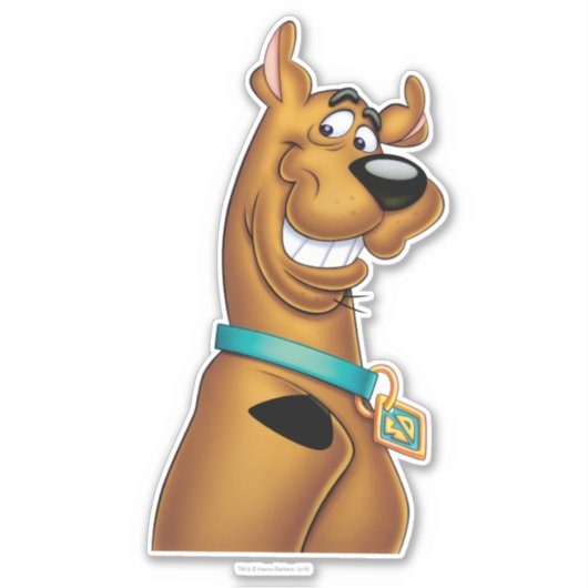 Scooby-Doo Grin Sticker (Voorkant)