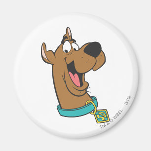 Scooby-Doo Happy Face Magneet