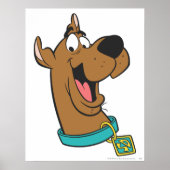 Scooby-Doo Happy Face Poster (Voorkant)