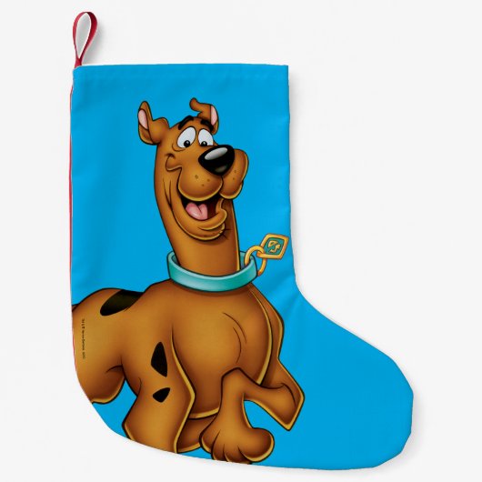 Scooby-Doo Happy Walk Kleine Kerstsok (Voorkant)