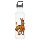 Scooby-Doo Happy Walk Waterfles (Voorkant)