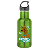 Scooby-Doo Laughing Waterfles (Voorkant)