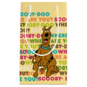 Scooby-Doo loopt "Waar ben je?" Klein Cadeauzakje (Voorkant)