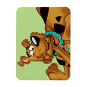Scooby-Doo Lying Down Magneet (Verticaal)