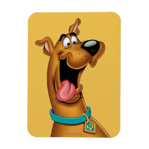 Scooby-Doo met veel gezichtsvermogen Magneet