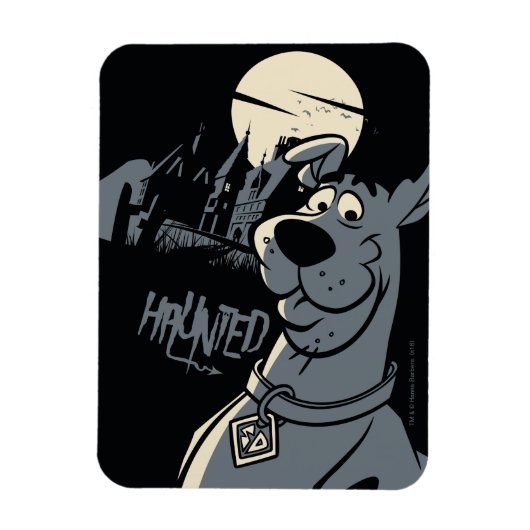 Scooby-Doo Noir Haunted Mansion Graphic Magneet (Verticaal)