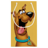 Scooby-Doo Opgewekt Gezicht Klein Cadeauzakje (Achterkant)