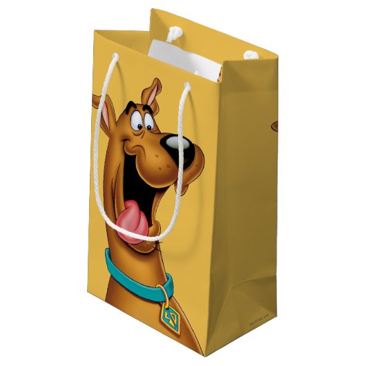 Scooby-Doo Opgewekt Gezicht Klein Cadeauzakje (Achterkant Gekanteld)