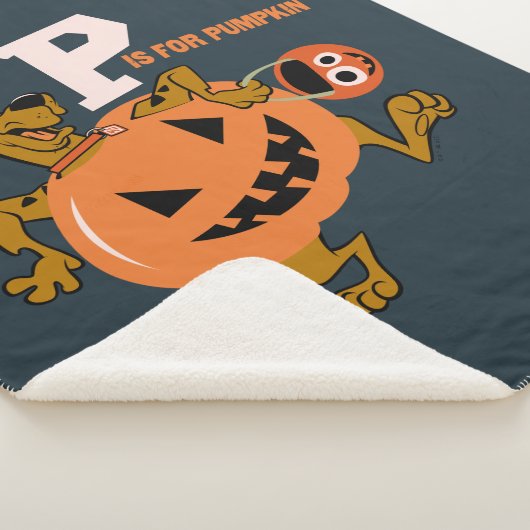 Scooby-Doo | P is voor pompoen Sherpa Deken (3/4)