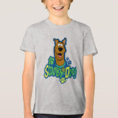 Scooby-doo Paw Print Character Badge Tri-Blend Shirt (Voorkant)