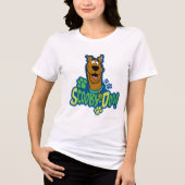 Scooby-Doo Paw Print Character Badge Tri-Blend Shirt (Voorkant)