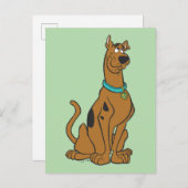 Scooby-Doo Puppy Eyes Briefkaart (Voorkant / Achterkant)