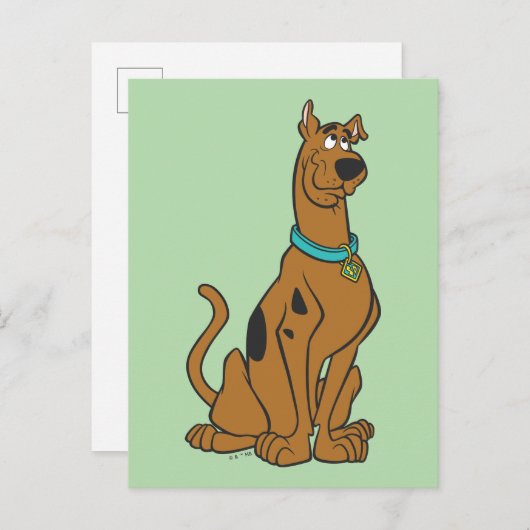 Scooby-Doo Puppy Eyes Briefkaart (Voorkant / Achterkant)