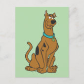 Scooby-Doo Puppy Eyes Briefkaart (Voorkant)