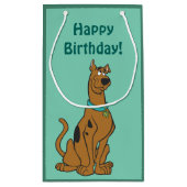 Scooby-Doo Puppy Eyes Klein Cadeauzakje (Achterkant)