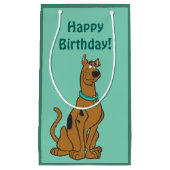 Scooby-Doo Puppy Eyes Klein Cadeauzakje (Voorkant)