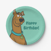 Scooby-Doo Puppy Eyes Papieren Bordje (Voorkant)