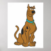 Scooby-Doo Puppy Eyes Poster (Voorkant)
