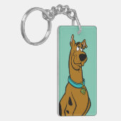 Scooby-Doo Puppy Eyes Sleutelhanger (Voorkant Links)