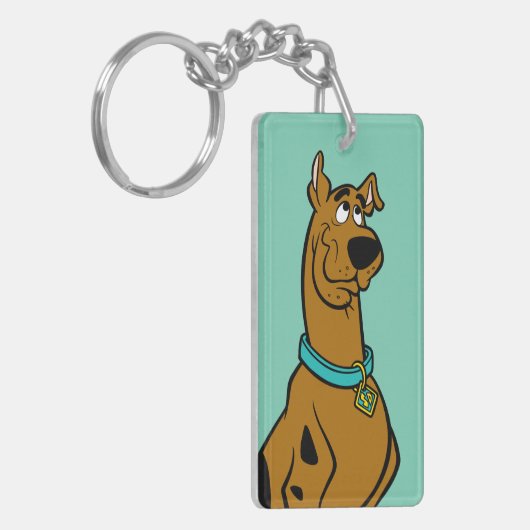 Scooby-Doo Puppy Eyes Sleutelhanger (Voorkant Links)