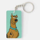 Scooby-Doo Puppy Eyes Sleutelhanger (achterkant)