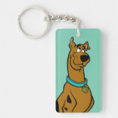Scooby-Doo Puppy Eyes Sleutelhanger (Voorkant)