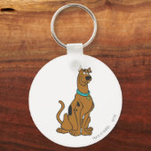 Scooby-Doo Puppy Eyes Sleutelhanger (Voorkant)