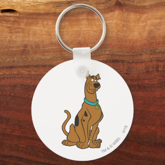 Scooby-Doo Puppy Eyes Sleutelhanger (Voorkant)