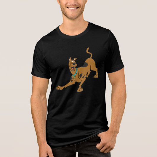 Scooby-Doo Ready To Play Tri-Blend Shirt (Voorkant)