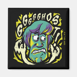 Scooby-Doo Scared Shaggy Magneet