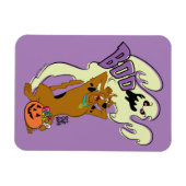Scooby-Doo | Scooby-Doo Boo Magneet (Horizontaal)
