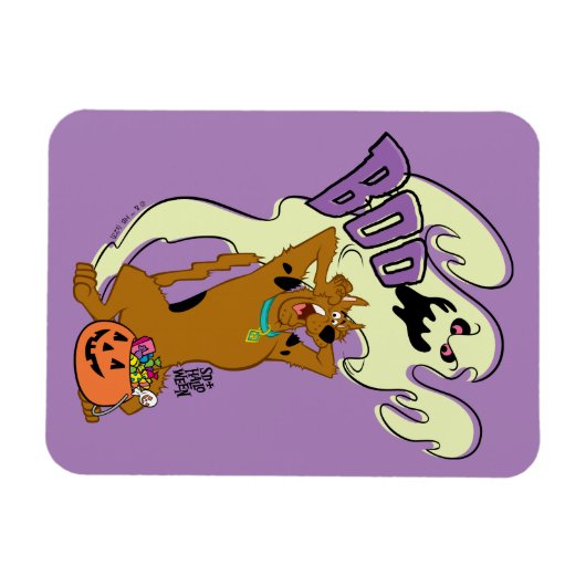 Scooby-Doo | Scooby-Doo Boo Magneet (Horizontaal)