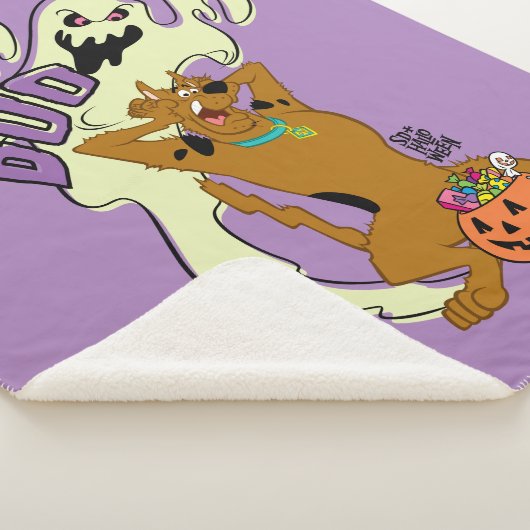 Scooby-Doo | Scooby-Doo Boo Sherpa Deken (3/4)