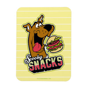 Scooby-Doo "Scooby Snacks" Logo Magneet