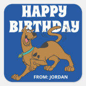 Scooby-Doo Tail Wag | Gefeliciteerd Vierkante Sticker (Voorkant)
