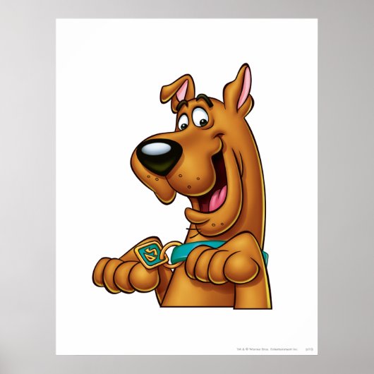 Scooby-Doo werkt omhoog Poster (Voorkant)