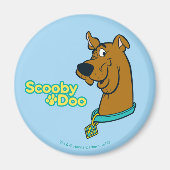 Scooby-Doo Winking Magneet (Voorkant)